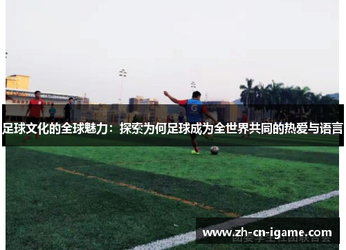 足球文化的全球魅力：探索为何足球成为全世界共同的热爱与语言