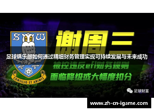 足球俱乐部如何通过精细财务管理实现可持续发展与未来成功