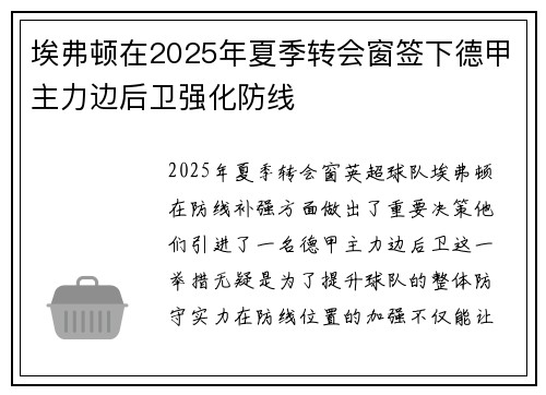 埃弗顿在2025年夏季转会窗签下德甲主力边后卫强化防线